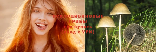 крисы Новокубанск