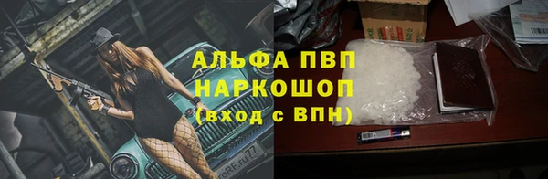 таблы Новозыбков