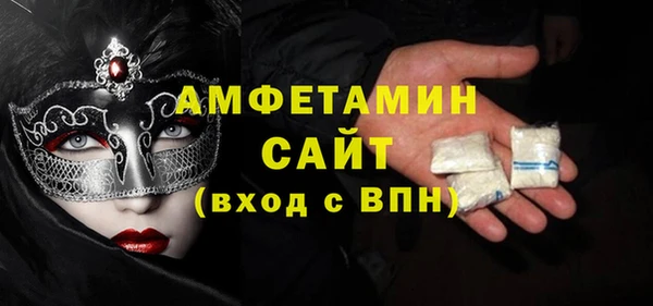 сатива Няндома