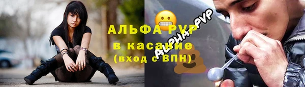крисы Новокубанск