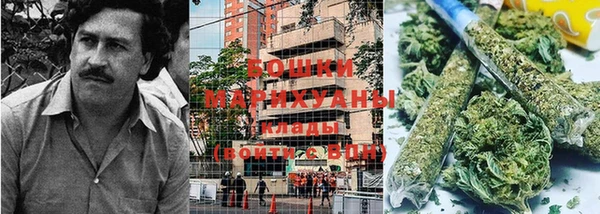 крисы Новокубанск