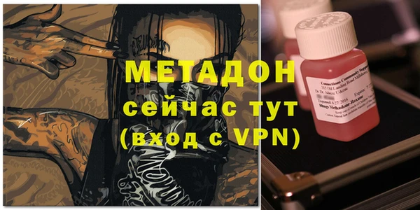 сатива Няндома