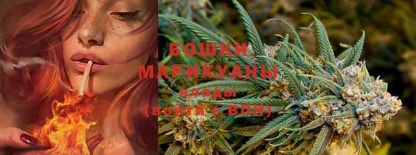 молекула духа Нягань
