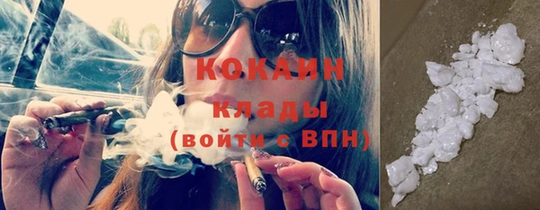 сатива Няндома