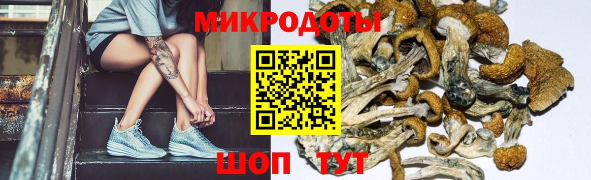 Галлюциногенные грибы Cubensis Североуральск