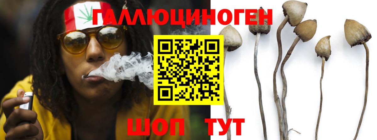 Североуральск  Галлюциногенные грибы Psilocybine cubensis  Вход с VPN  Галлюциногенные грибы Psilocybe 